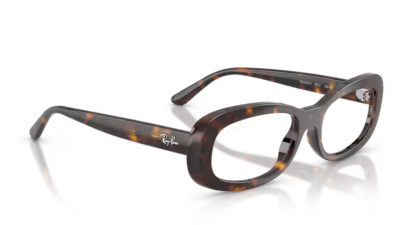 Ray-Ban 2221V